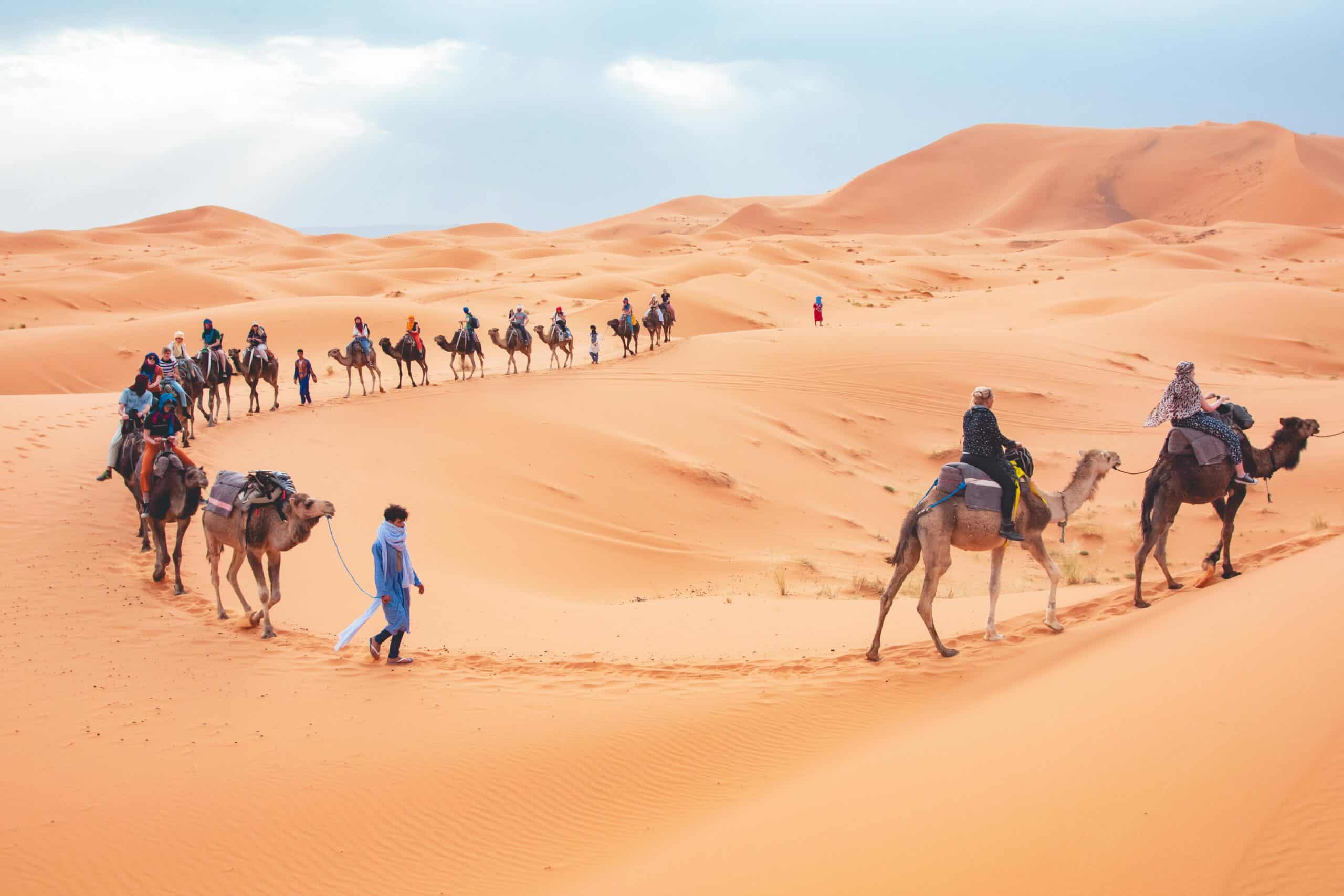 Tourists riding camels across the serene desert landscape in the UAE