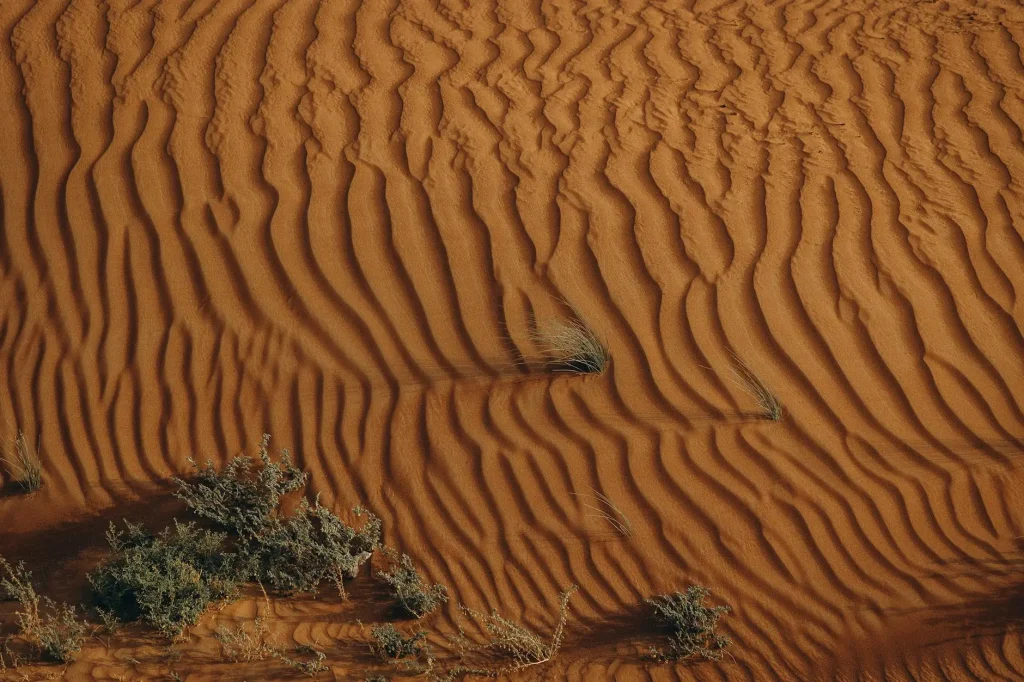 Aerial view of Al Ain desert in UAE during uae weather alert, showing sand dunes and extreme heat conditions.