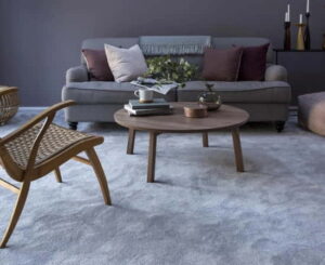 wall to wall carpet.jpg