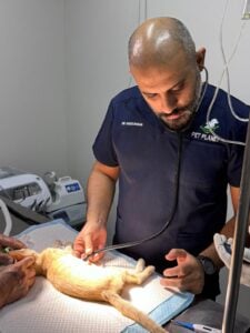 whatsapp image 2025 11 22 at 18.15.24 22581ee8.jpg