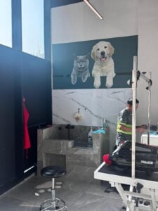 whatsapp image 2025 11 22 at 18.15.30 7d158f29.jpg