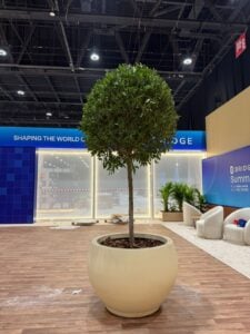 whatsapp image 2026 02 27 at 5.30.18 pm.jpeg