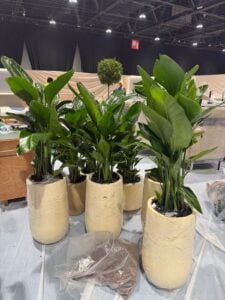 whatsapp image 2026 02 27 at 5.30.19 pm 2.jpeg